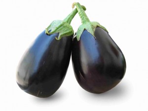 santana eggplant