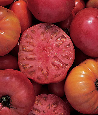 Old pink variety. Large meaty fruit helped pay off the farm. 85 days. Indeterminate.